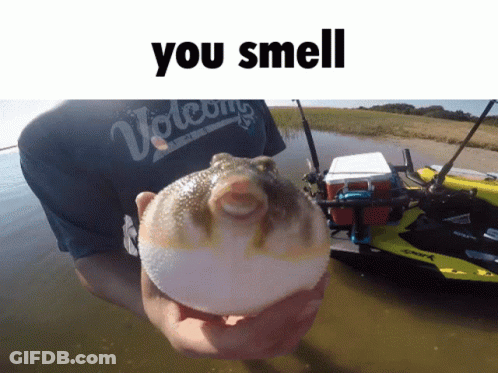 A Man Is Holding A Fish That Says You Smell GIF