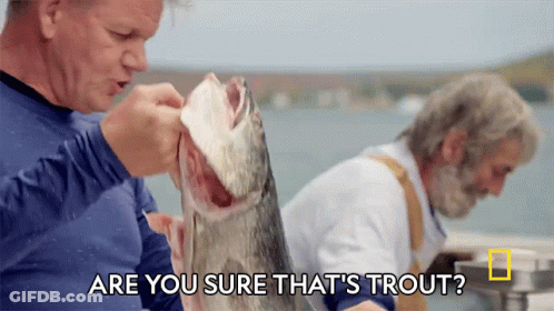 A Man Is Holding A Fish With The Words Are You Sure That 'S Trout GIF