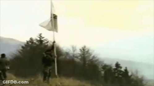 A Man Is Holding A Flag On Top Of A Pole In A Field . GIF