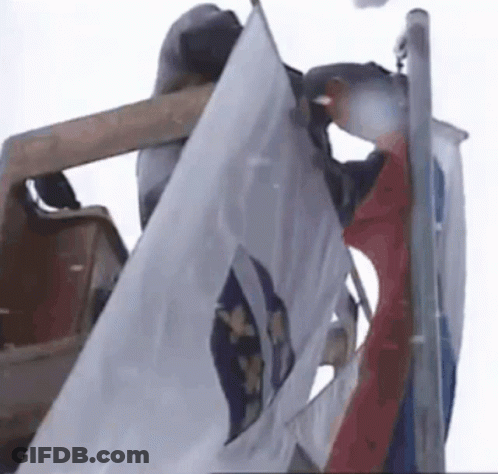 A Man Is Holding A Flag On Top Of A Pole In The Air . GIF