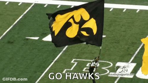 A Man Is Holding A Flag That Says Go Hawks GIF