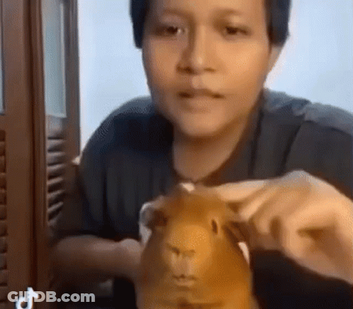 A Man Is Holding A Guinea Pig In His Hands And Looking At It . GIF