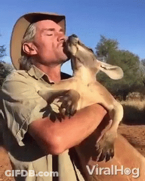 A Man Is Holding A Kangaroo And Kissing It On The Nose . GIF