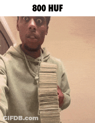A Man Is Holding A Large Stack Of Money With The Words 800 Huf Above Him GIF