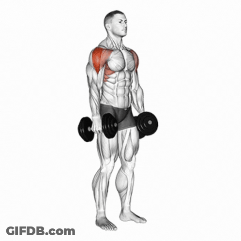 A Man Is Holding A Pair Of Dumbbells Over His Shoulder . GIF