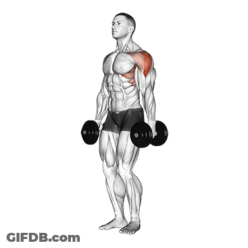 A Man Is Holding A Pair Of Dumbbells Over His Shoulders GIF