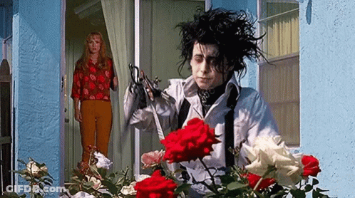 A Man Is Holding A Pair Of Scissors In Front Of A Bunch Of Roses . GIF