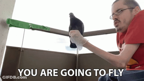 A Man Is Holding A Pigeon On A Balcony With The Words You Are Going To Fly Below Him GIF