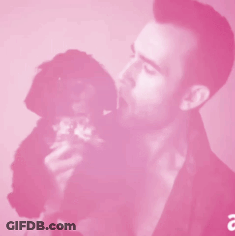 A Man Is Holding A Small Black Dog In His Arms With A Pink Background GIF