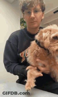 A Man Is Holding A Small Brown Dog In His Arms While Sitting At A Table . GIF