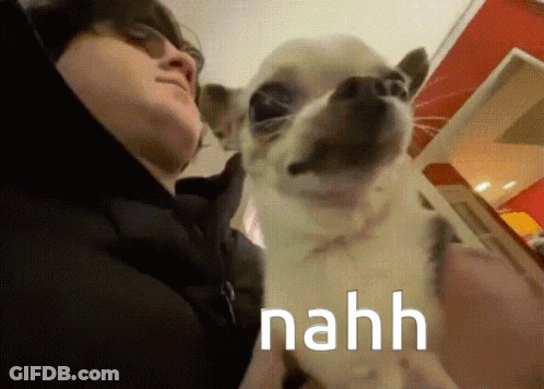 A Man Is Holding A Small Dog With The Word Nahh Written On It GIF