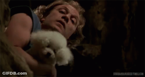 A Man Is Holding A Small White Dog In His Arms And Licking It . GIF