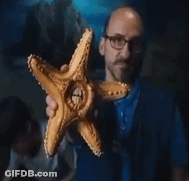 A Man Is Holding A Starfish With A Hole In The Middle GIF