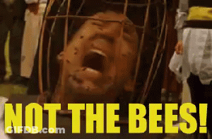 A Man Is In A Cage With Bees On His Face . GIF