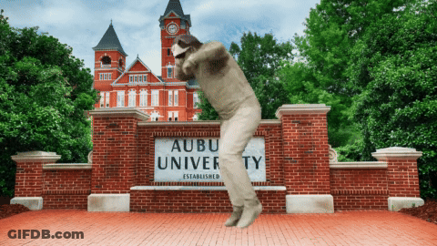 A Man Is Jumping In Front Of The Aubu University Sign GIF