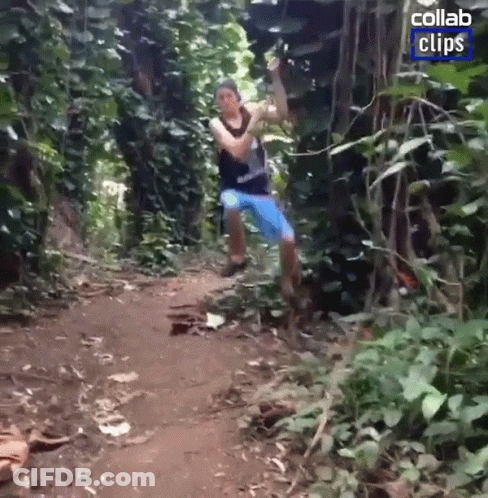 A Man Is Jumping In The Air In A Jungle With A Collab Clips Logo In The Corner GIF