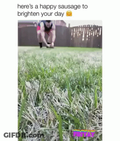 A Man Is Jumping In The Grass With A Happy Sausage To Brighten Your Day . GIF