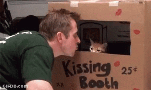 A Man Is Kissing A Cat In A Cardboard Box That Says Kissing Booth . GIF