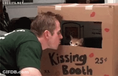 A Man Is Kissing A Cat In A Kissing Booth . GIF