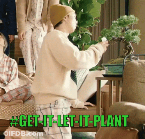 A Man Is Kneeling Down In Front Of A Bonsai Tree With The Words Get-It-Let-It-Plant Below Him GIF