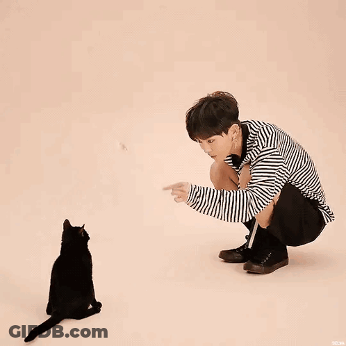A Man Is Kneeling Down Next To A Black Cat . GIF