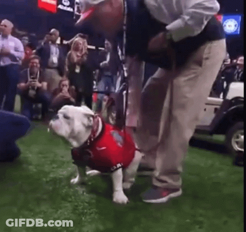 A Man Is Kneeling Down Next To A Dog Wearing A Red Shirt On A Field . GIF