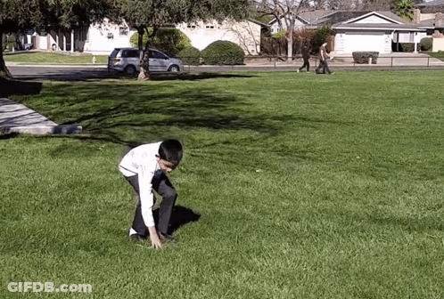 A Man Is Kneeling On The Grass In A Park While A Woman Walks By . GIF