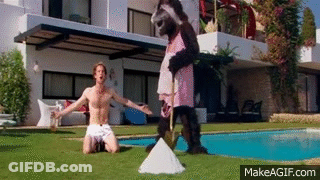 A Man Is Kneeling On The Grass Next To A Pool While A Gorilla In A Pink Dress Stands Behind Him . GIF