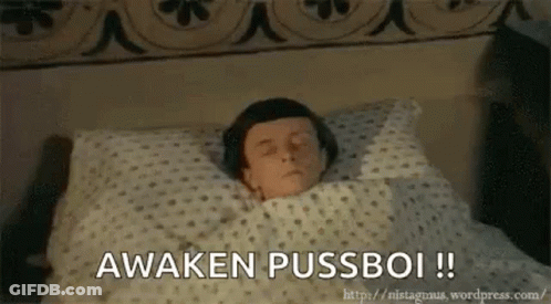 A Man Is Laying In Bed With His Eyes Closed And The Words Awaken Pussboi Written On The Bottom . GIF