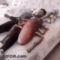 A Man Is Laying On A Bed With A Stuffed Cockroach On His Lap . GIF