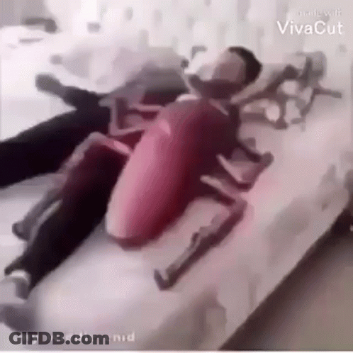 A Man Is Laying On A Bed With A Stuffed Cockroach On Top Of Him . GIF