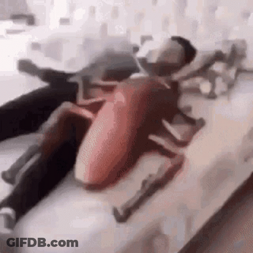 A Man Is Laying On A Bed With A Toy Cockroach On His Back . GIF