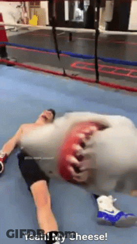 A Man Is Laying On The Floor In A Boxing Ring With The Words " Yeah My Cheese " On The Bottom GIF