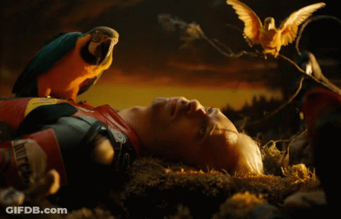 A Man Is Laying On The Ground With A Parrot On His Head And Another Parrot On A Branch GIF