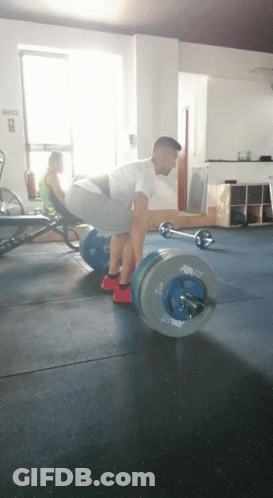 A Man Is Lifting A Barbell In A Gym That Says ' Rogue ' On It GIF