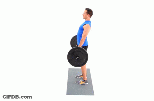 A Man Is Lifting A Barbell On A Mat While Wearing Reebok Shoes . GIF
