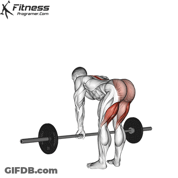 A Man Is Lifting A Barbell With A Fitness Programer.com Logo On The Bottom GIF