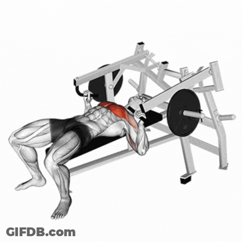A Man Is Lifting Weights On A Bench With A Barbell GIF