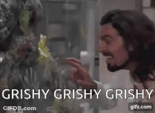 A Man Is Looking At A Fish Tank With The Words " Grishy Grishy Grishy " On The Bottom GIF