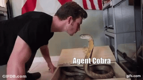 A Man Is Looking At A Snake In A Box With The Words Agent Cobra Written On The Bottom GIF