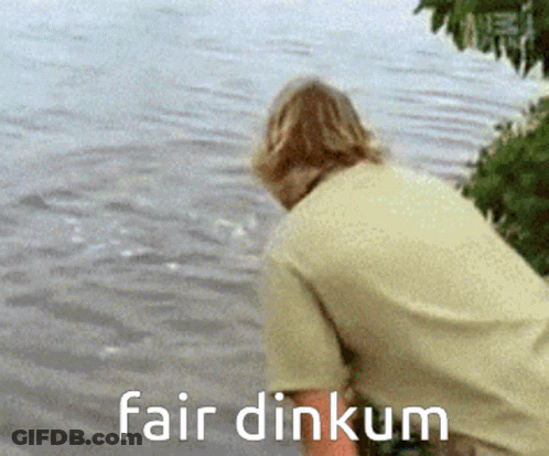 A Man Is Looking Into A Body Of Water With The Words Fair Dinkum On The Bottom GIF