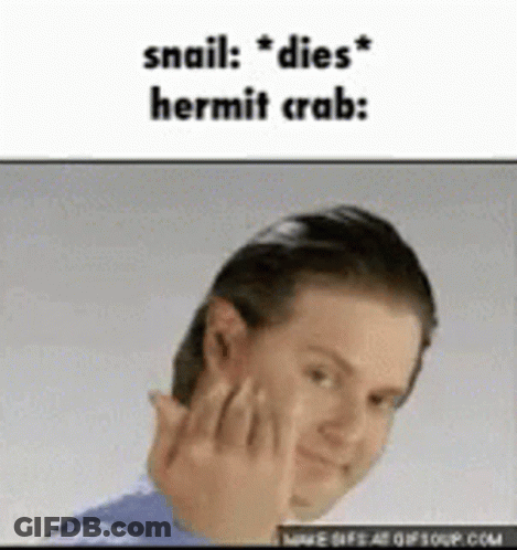 A Man Is Making A Funny Face With The Words Snail Dies Hermit Crab Written Above Him . GIF