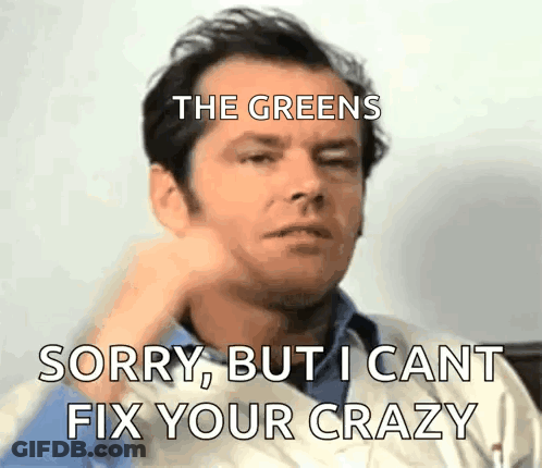 A Man Is Making A Funny Face With The Words " The Greens Sorry But I Cant Fix Your Crazy " Above Him GIF