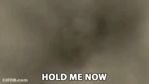 A Man Is Making A Stop Sign With His Hands And The Words `` Hold Me Now '' Written Below Him . GIF