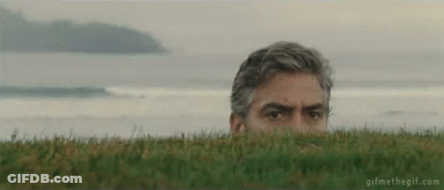 A Man Is Peeking Out Of A Grassy Field . GIF