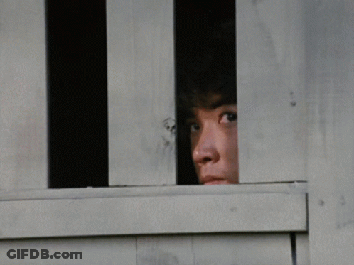 A Man Is Peeking Out Of A Wooden Window GIF