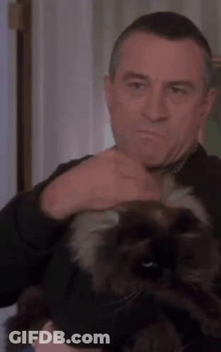 A Man Is Petting A Black Cat On His Head GIF