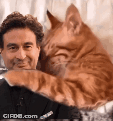 A Man Is Petting A Cat Which Is Laying On His Chest GIF