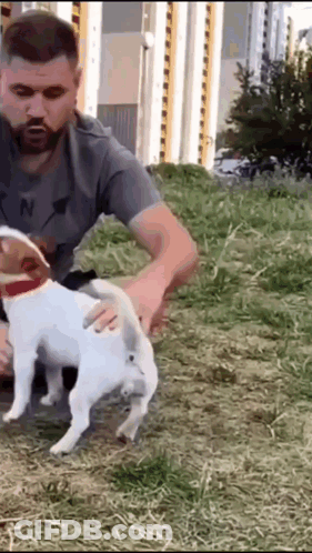 A Man Is Petting A Small White Dog In A Field GIF