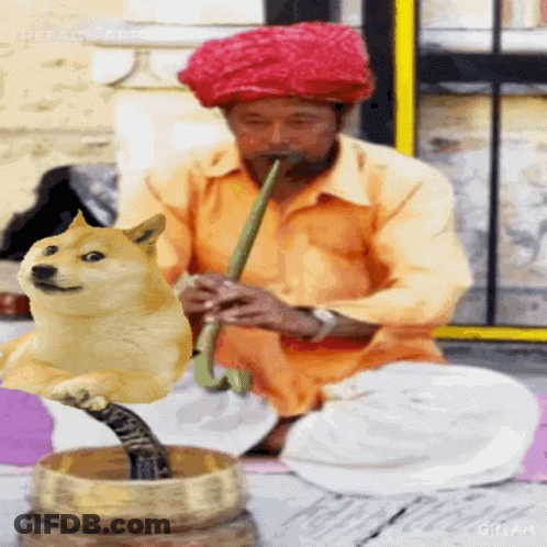 A Man Is Playing A Flute While A Doge Is Sitting On His Lap GIF